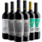 Evino Clube Go Anual - 6 garrafas