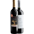Evino Clube Red Anual - 2 garrafas