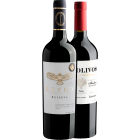 Evino Clube Black Anual - 2 garrafas