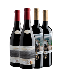 Evino Clube Black Anual - 4 garrafas